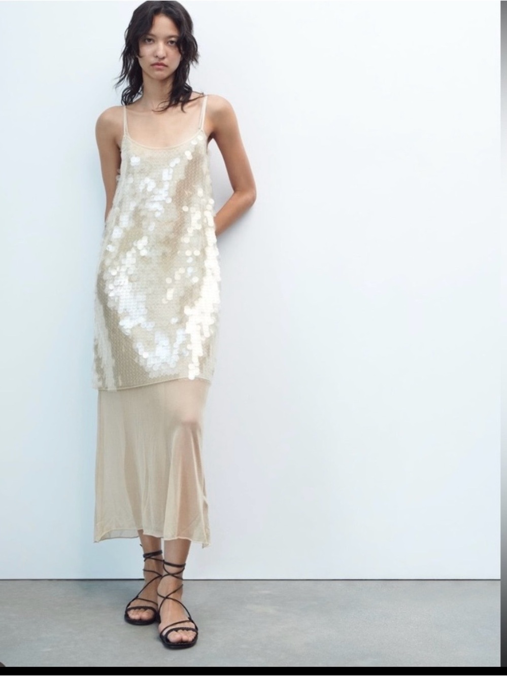 Stunning Cream/Nude Sequins & Tulle Dress | ZARA | LIMITED EDITION | LARGE
